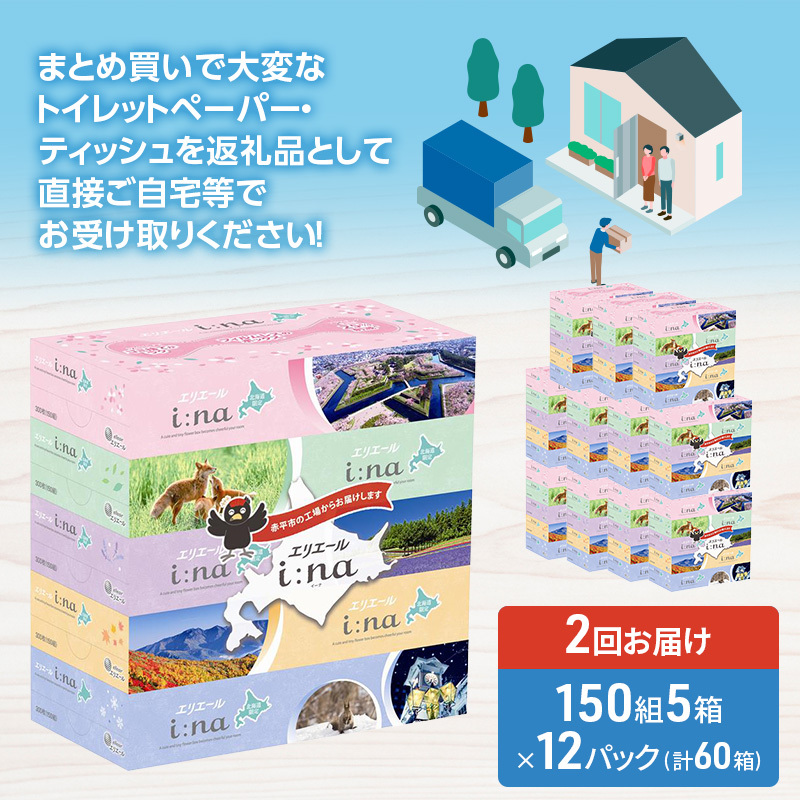 【2回お届け 計120箱】エリエール i:na (イーナ) 北海道 ティシュー 150組5箱 12パック フィルムレス ふるさと納税限定デザイン イーナ ボックスティシュー 箱ティッシュ ペーパー 備