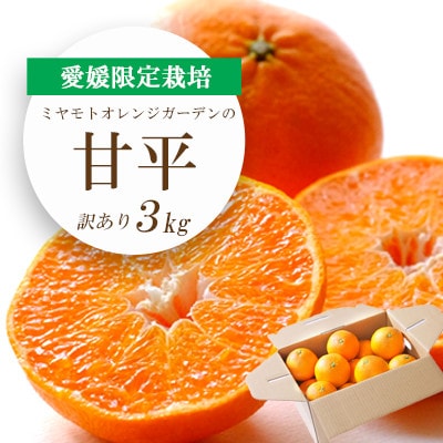 【2026年2月より順次発送】愛媛限定栽培柑橘 甘平(かんぺい)3kg【訳あり】【C25−137】【1138005】