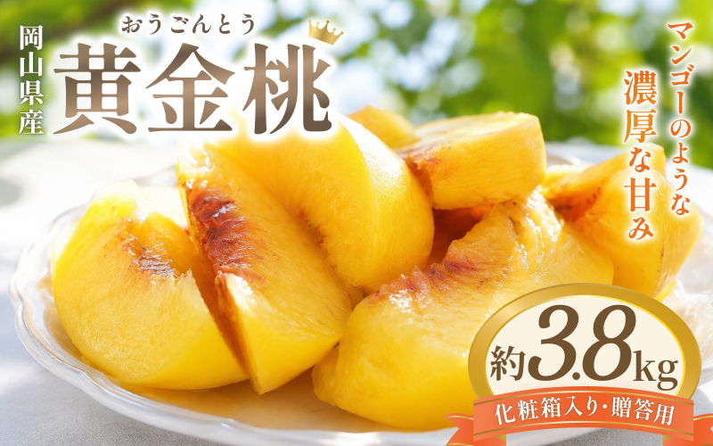 桃【2027年先行予約】岡山県産黄金桃 3.8kg 化粧箱入り・贈答用｜｜ 岡山県 フルーツ 黄金桃 もも 桃 モモ 人気 桃 もも 新鮮 旬 果物 フルーツ もも 桃 ピーチ 贈答 ギフト 家庭用 期間限定 もも 桃 モモ momo 桃 岡山 先行予約 白桃 桃 もも 黄金桃 モモ 果物 くだもの フルーツ ピーチ momo 岡山 黄金桃　先行予約【hnds010-01】