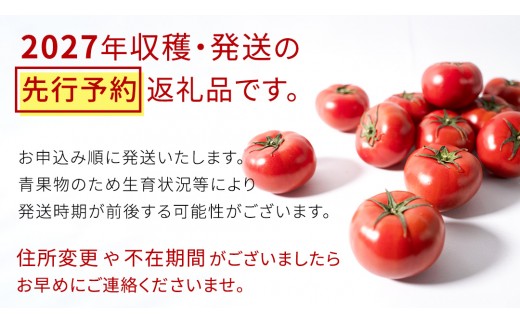 
                  《 2027年 収穫分 》 訳あり スーパーフルーツトマト 大箱 約2.6kg × 1箱 (20～35玉/1箱) 糖度9度以上 先行予約 茨城県 桜川市 KEK 国産 トマト フルーツトマト ブランドトマト 訳アリ 不揃い 野菜 ギフト 贈答 [BC038sa]
                