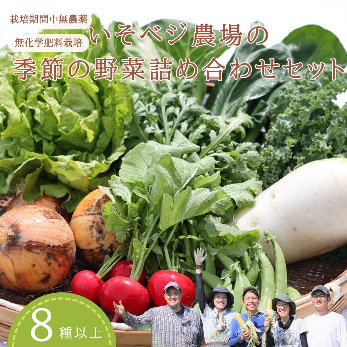 【ふるさと納税】無農薬無化学肥料栽培　いそベジ農場の季節の野菜詰め合わせセット（8品詰め合わせ）[IV-101]