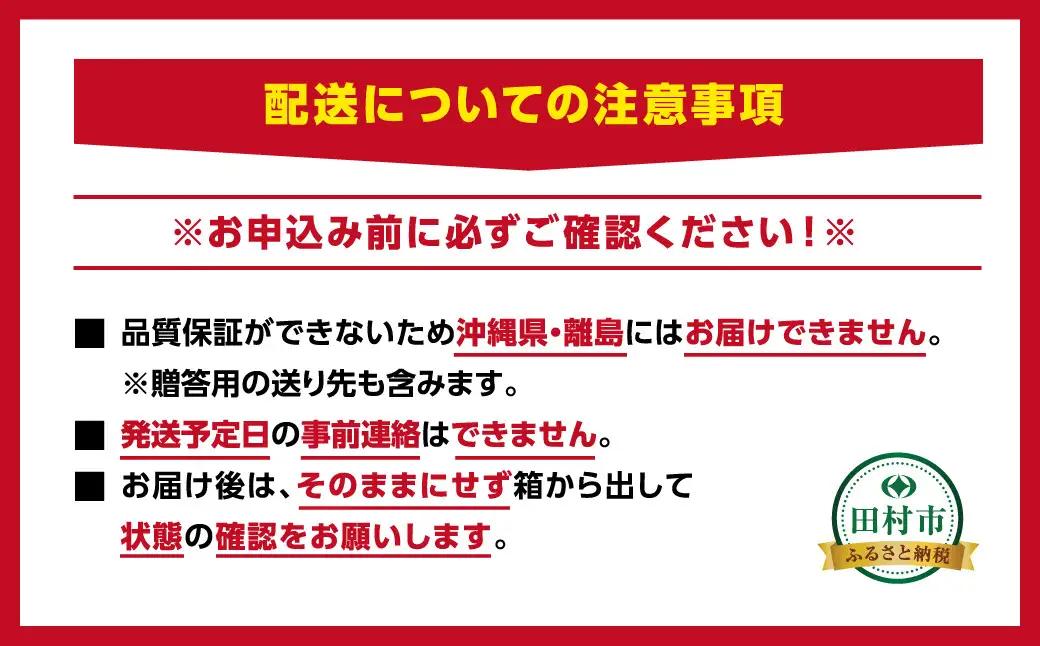 訳あり 冷凍ブルーベリー 500g 福島県 田村市 いずみの森ブルーベリー園