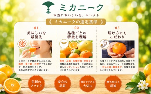 【知る人ぞ知る】 驚きの甘さ 【媛小春】 6kg 愛媛県産 【2027年1月下旬頃から順次発送】 | みかん ミカン mikan 蜜柑 訳ありフルーツ 柑橘 果物 おすすめ お勧め お取り寄せ ギフト