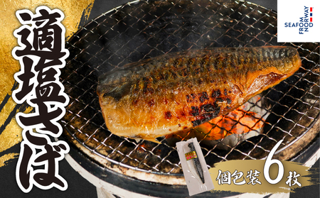 適塩さば 真空 個包装 6枚 さば