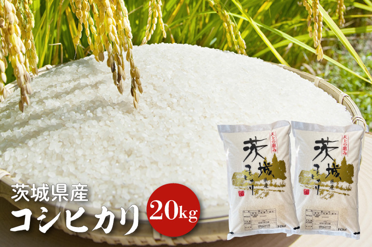
            【令和6年産】茨城県産コシヒカリ 20kg 【お米 ごはん こしひかり 老舗 米屋 おにぎり ごはん 茨城県 水戸市 20キロ】(HQ-93)
          