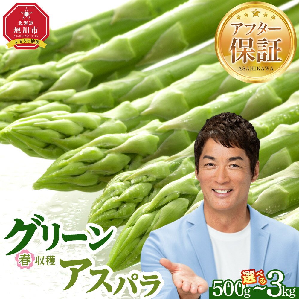 【ふるさと納税】◆先行予約◆【容量選択可能】春収穫グリーンアスパラ Lサイズ 500g～3kg（2026年6月上旬から発送開始予定） | 野菜 アスパラ アスパラガス 春 グリーンアスパラ 旭川市ふるさと納税 北海道ふるさと納税