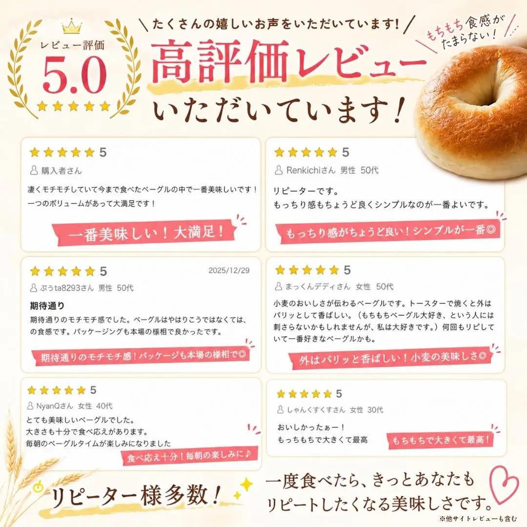 ベーグル ナチュラルベーグル プレーン 10個セット