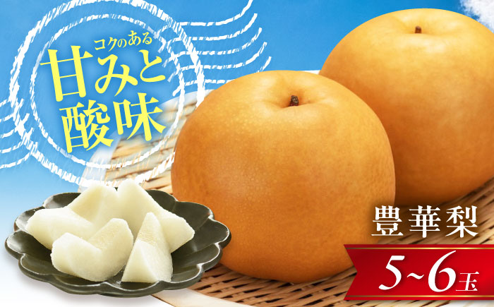 尾形農園の豊華梨(ゆたかなし) 5～6玉入 〈2026年8月～発送〉 ／ 梨 なし フルーツ 果物 くだもの 食品 人気 おすすめ 季節のフルーツ 豊華梨 【株式会社内子フレッシュパークからり】 [BKAD036]