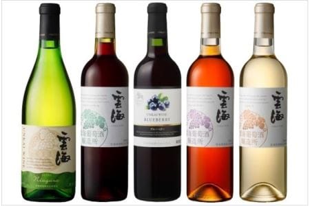 雲海ワインセット5種 国産100％ 赤 白 飲み比べ【雲海酒造】_A0114-061