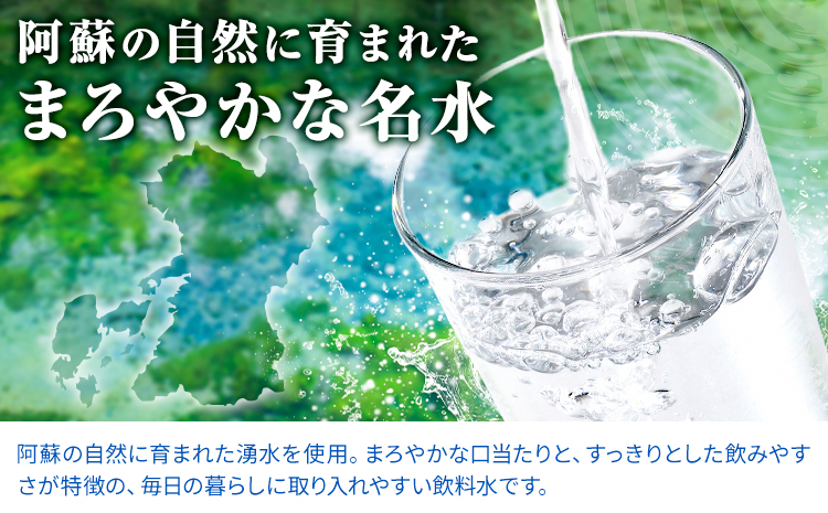 阿蘇の名水 500mL×24本 計12L 九州ネクスト株式会社《30日以内に出荷予定(土日祝除く)》 熊本県 南阿蘇村 白川水源 水 ペットボトル ミネラルウォーター 飲料水 備蓄水 湧水---sms