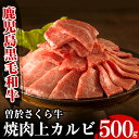 【ふるさと納税】曽於さくら牛焼肉ギフト(上カルビ500g) 鹿児島県産 国産 黒毛和牛 和牛 牛肉 牛 肉 上カルビ 焼肉 焼き肉 冷凍 ギフト 贈り物 プレゼント【福永産業】