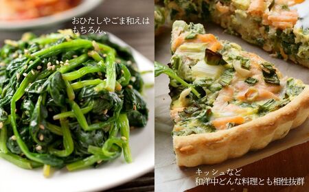 ほうれん草 2kg 10袋 ほうれん草 ほうれんそう