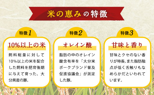 大分県産ブランド豚「米の恵み」ロースブロック 1.6kg(1.6kg×1)