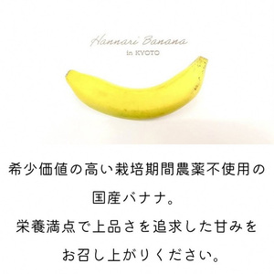 フローズンバナナ（皮なし）80g×6袋 『京都はんなりばなな』 《栽培期間中農薬不使用 京都 亀岡産 希少 おやつ スムージー アイス 小分け  フルーツ 果物 デザート 国産バナナ バナナ 朝食バナ