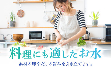 【3ヶ月定期便】赤ちゃんも安心して飲める 清水湧水 軟水 500ml 計48本 非加熱殺菌 ミネラルウォーター【株式会社清水】天然水の風味を損なわないよう非加熱殺菌 天然水 水 軟水 ペットボトル 5