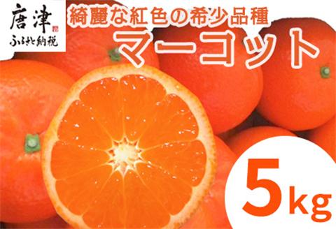 『予約受付』【令和6年2月中旬発送】マーコット（ハウス栽培）唐津産 5kg みかん ミカン 果物 フルーツ