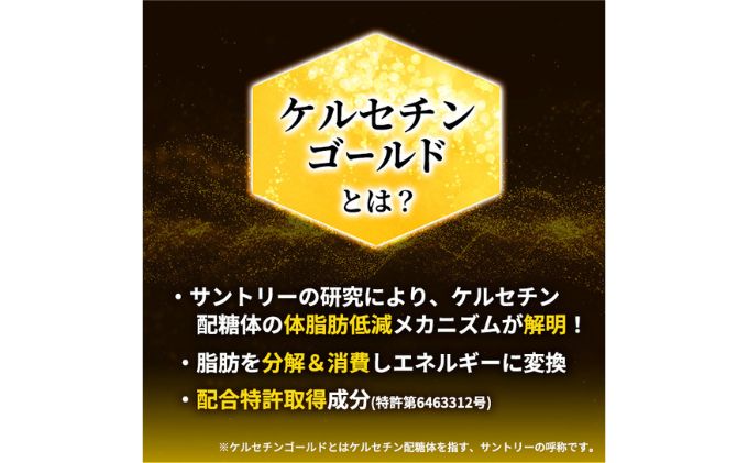 お茶 定期便 2ヶ月 伊右衛門 特茶 500ml × 24本 サントリー 緑