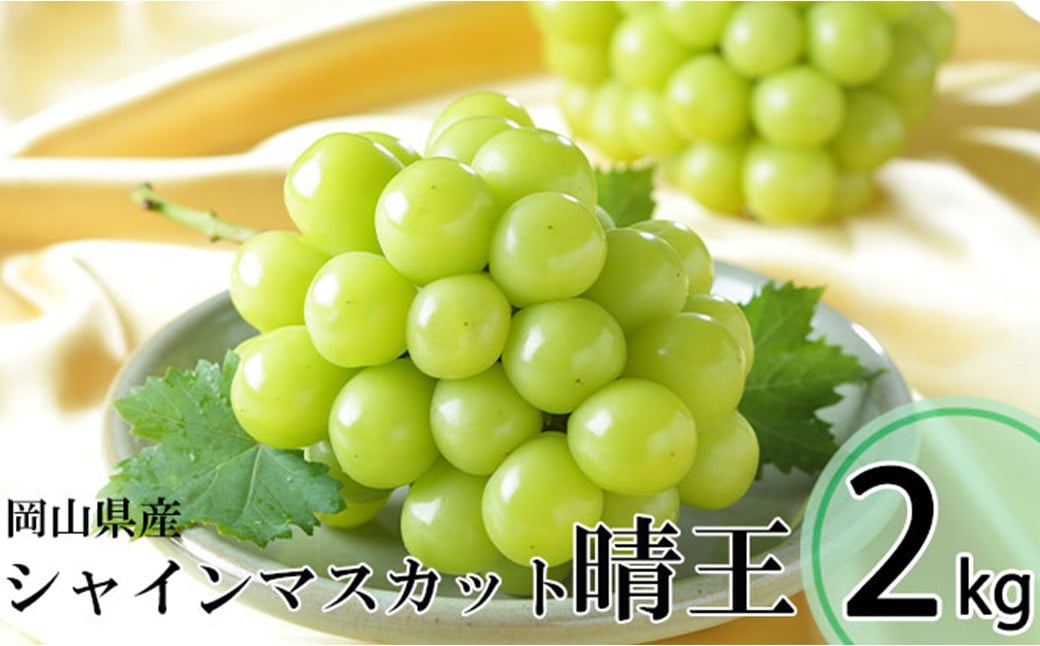 シャインマスカット 晴王 3～6房 計約2kg 【2026年8月下旬～11月下旬迄発送】 ／ マスカット 葡萄 ぶどう 果物 果実 フルーツ 種なし 皮ごと 大粒 岡山県 美咲町 冷蔵