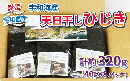 海藻 ひじき 宇和海産 天日干しひじき 320g NPO法人段畑を守ろう会 天然ひじき ひじき 海藻海藻海藻海藻 D010-051003