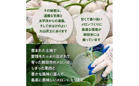 【訳あり】イバラキングメロン（大）1玉（約1.5kg以上）