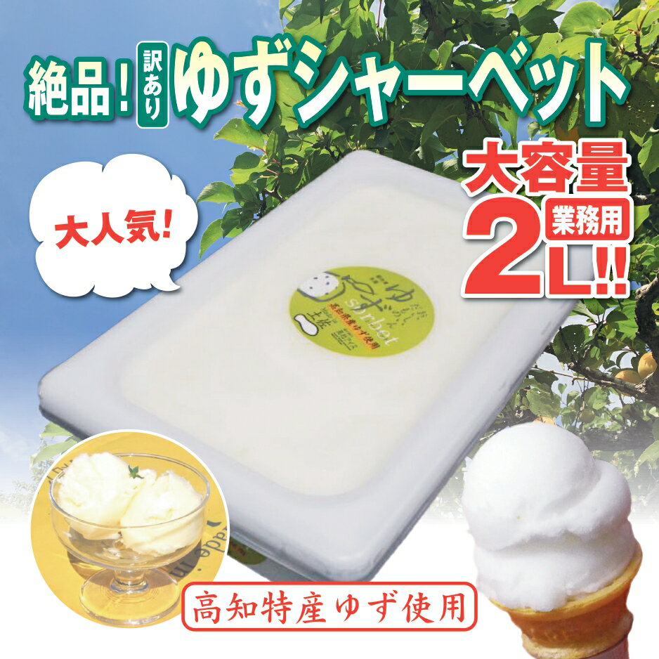 【ふるさと納税】 昔ながらの 柚子 アイスクリーム 業務用 2L 高知県産 ゆず アイスクリン ふるさとの味 ご当地アイス あっさり 爽やか アイス 昔ながらの スイーツ 高知県 須崎市 EA043