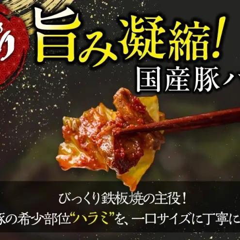 定期便 3回 福岡のソウルフード びっくり鉄板焼 2食セット