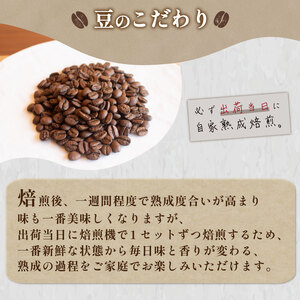 【中挽き】 訳あり コーヒー豆 1kg ( 500g × 2袋 ) ブラジル レッド カトゥアイ ( コーヒー 珈琲 コーヒー豆 出荷当日 自家焙煎 数量限定 スペシャルティコーヒー コーヒータイム 