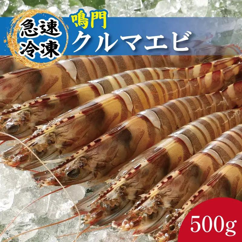 車海老 500g 約12尾～17尾 クルマエビ