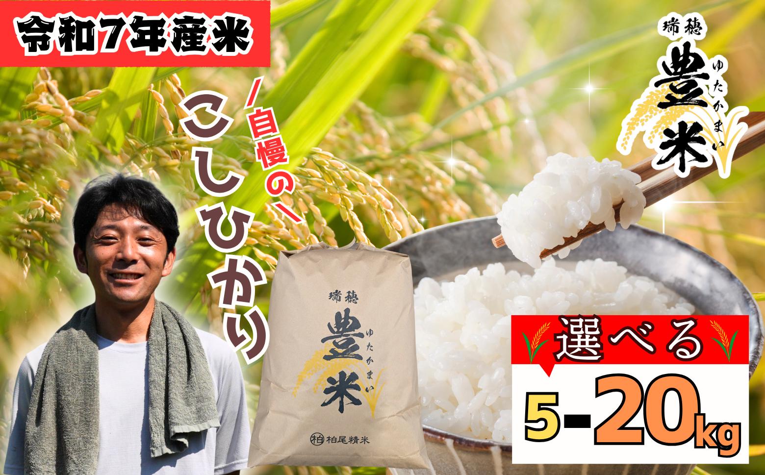 
            <令和７年産 新米> こしひかり 瑞穂 豊米（ゆたかまい） 選べる 白米 5kg 10kg 20kg / お米 コメ 白米 ご飯 長野県 信州 飯山市 新米 令和7年 コシヒカリ 産地直送 農家直送
          