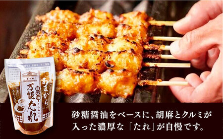 家庭で作る五平餅体験セット! 焼き器、秘伝の万能たれ×2、竹串10本付き / 恵那市 / あまから [AUAE004]