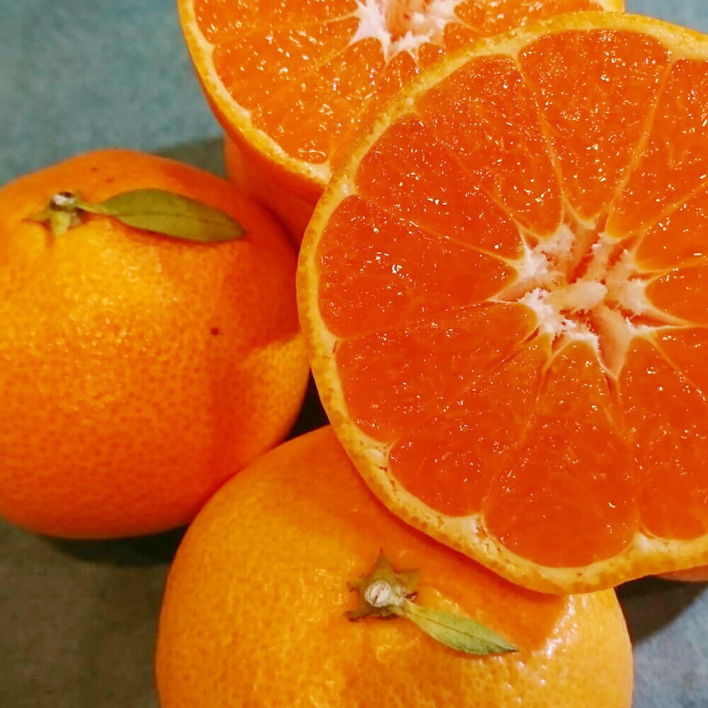 【ふるさと納税】長崎県産 晩生温州みかん M~Lサイズ 5kg ミカン 蜜柑 青島 大津 フルーツ くだもの 果物 果実 柑橘類 青果 国産 九州 長崎県 長崎市 送料無料 【2026年1月上旬～2月下旬迄発送予定】