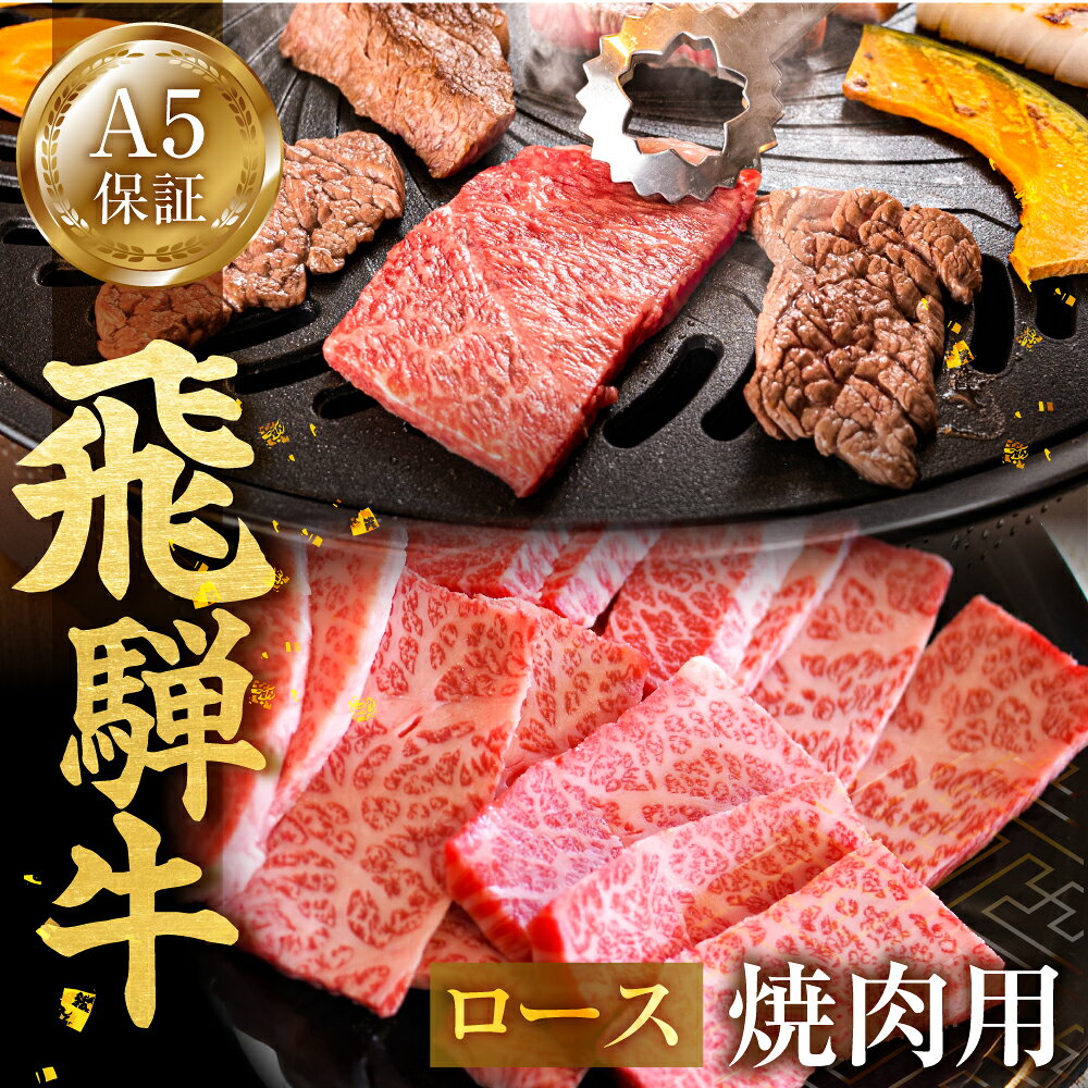 【ふるさと納税】≪A5等級≫ 飛騨牛 ロース 焼肉用 300g 牛肉 肉 国産牛 国産牛肉 お肉 ブランド牛 飛騨牛 黒毛和牛 和牛 ブランド和牛 牛肉セット 焼肉 やきにく 焼き肉 ロース肉 特上 ギフト 贈答 プレゼント 高級 国産 A5 霜降り 岐阜県 郡上市
