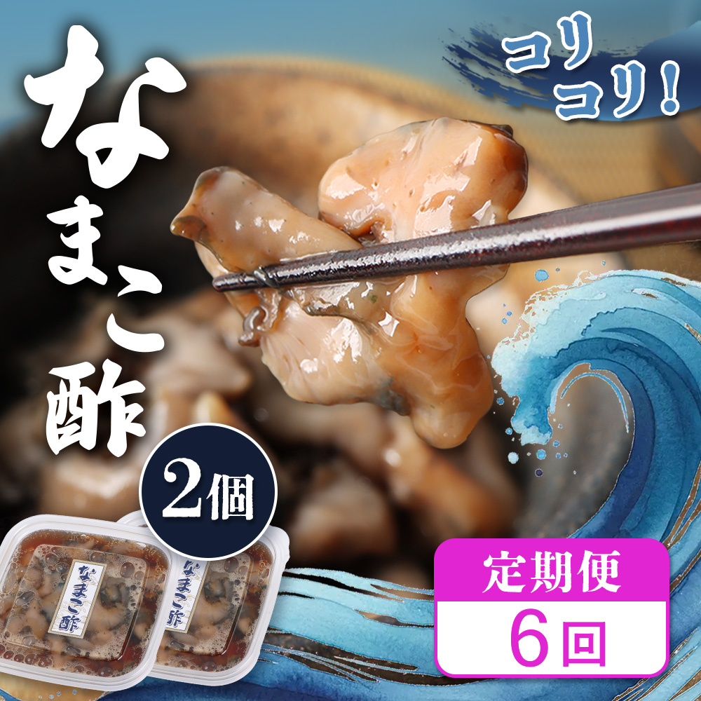 【定期便：全6回】【マリナシーフーズ】なまこ酢×2個 120g【02179】