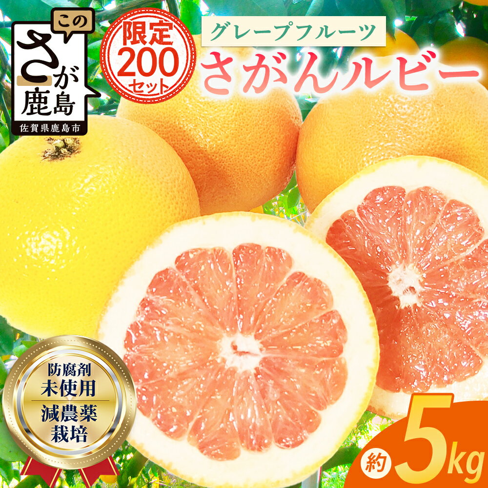 【ふるさと納税】終了間近！日本初 幻の国産グレープフルーツ！【さがんルビー 5kg（中玉12〜16個）】【先行予約】メディアも注目◆ジューシー柑橘｜柑橘 果物 フルーツ 生産者直送の安心品質 エシカル【3月下旬頃より順次発送予定】佐賀県 鹿島市 送料無料 B-2