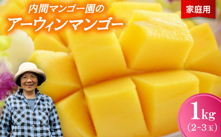 【2026年7月から順次発送・家庭用】内間マンゴー園のアーウィンマンゴー1kg(2～3玉)【配送不可地域：離島】【1695323】