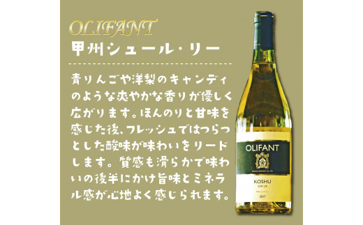 笹一酒造OLIFANTワイン750ml2種類&こすげ村源流工房ヤマメのアンチョビ2パックセット