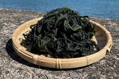 CH030 有明海産島原わかめ　280g×2 [ 長崎県 島原市 ]