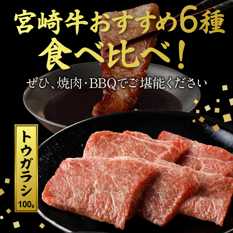 宮崎牛 焼肉食べ比べ6種盛600g N0140-YB446
