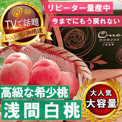 【ふるさと納税】【市場にほぼ出回らない浅間白桃】人気品種指定ギフト4年連続TV出演話題ブランド2025年7月中旬発【配送不可地域：離島・北海道・沖縄県・中国・四国・九州】【1465263】