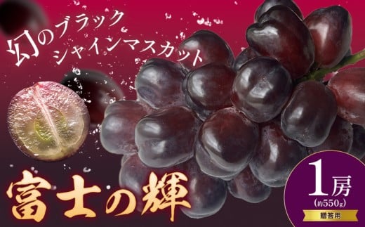 ぶどう 贈答用 富士の輝 1房 約550g 葡萄 ブドウ ぶどう 大粒 種なし ブラック シャインマスカット 皮ごと フルーツ 果物 産地直送 新鮮 お取り寄せ ギフト 国産 季節限定 茨城県 結城市《8月下旬-9月下旬頃出荷》會澤ぶどう・キウイフルーツ園 【配送不可地域あり】(離島)