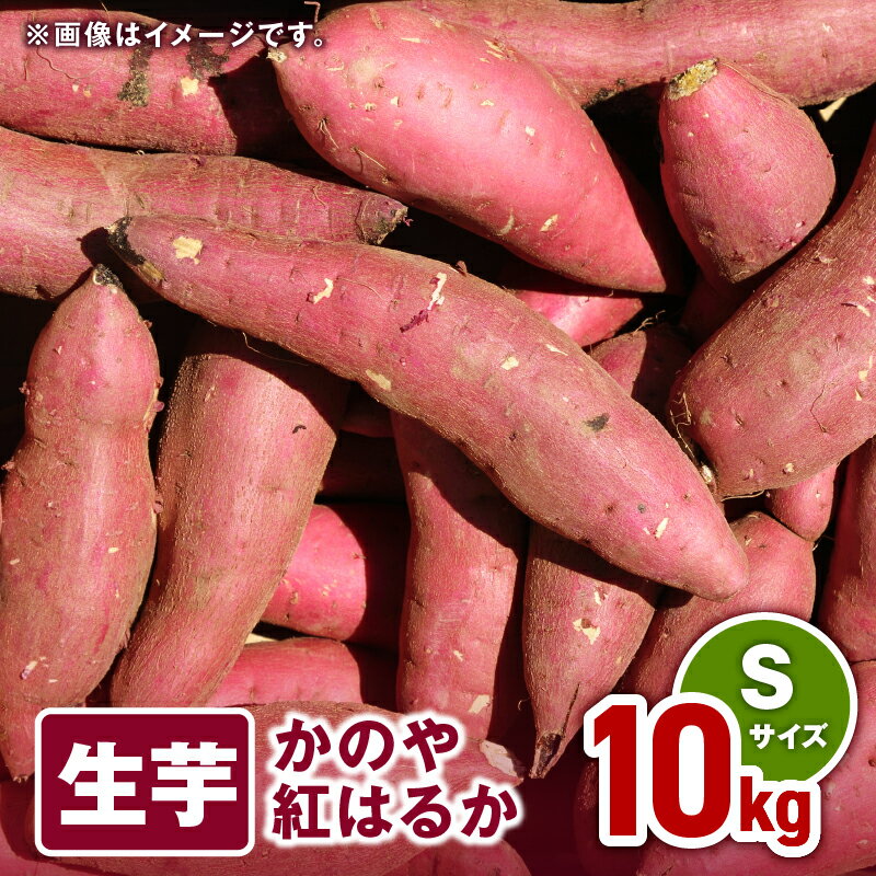 【ふるさと納税】 「かのや紅はるか」生芋 Sサイズ 10kg 定められた栽培基準等をクリアした濃厚でしっとりとした食感の紅はるか【さつまいも特集】【有限会社南橋商事】