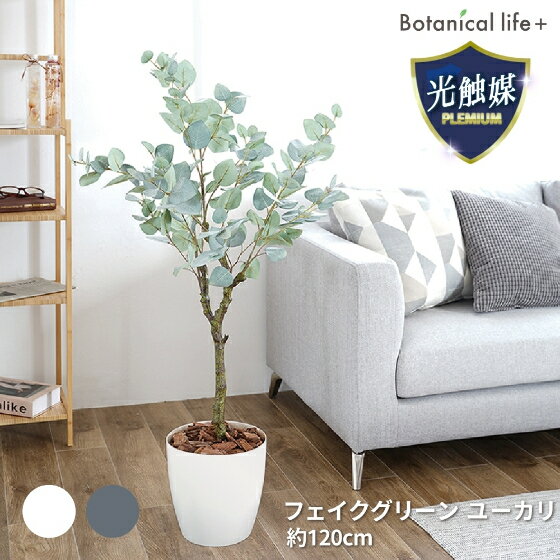 【ふるさと納税】フェイクグリーン ユーカリ 120cm 光触媒加工 鉢付き インテリア 抗菌 消臭 愛知県 豊橋市 送料無料 52000円