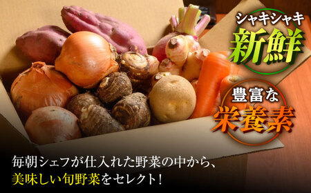 【シェフの目線】　根菜×葉野菜 （6-7種）　少量食べきりセット　 野菜 果物 やさい 少量セット 食べきり[AGBX051]