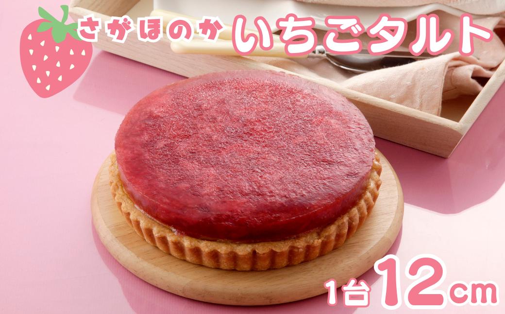 
            さがほのかいちごタルト 12cm ケーキ スイーツ 洋菓子 いちご さがほのか タルト 冷凍：B140-118
          