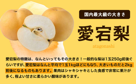 あたご梨  約4kg【配送不可地域あり】