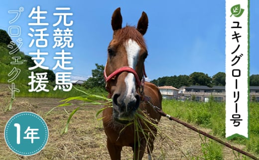 No.380 【ユキノグローリー号】元競走馬生活支援プロジェクト（1年） ／ 馬 競馬 引退 余生 飼育 治療 管理 支援活動 埼玉県