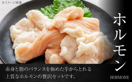 葉山石井牛ホルモン味噌味、ネギ塩味 各300g  ／ 肉 牛 ホルモン 焼肉 黒毛 焼き肉【株式会社石井ファーム葉山マルシェ】[ASCD013]