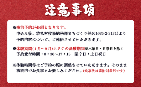 ～その場で選べる特産品～3,000円クーポン付きホタテ貝剥き体験【03035】