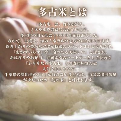 ふるさと納税 多古町 【令和7年産】多古米コシヒカリ 精米20kg(10kg×2袋) |  | 01