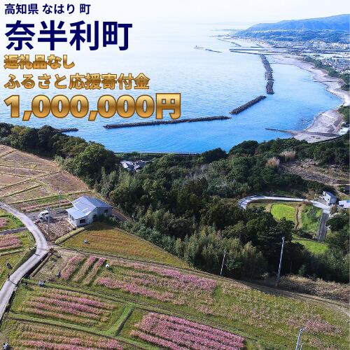 999999-8【応援寄附金】高知県奈半利町 1口 100万円 返礼品なしのご寄附　【奈半利町役場】